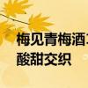 梅见青梅酒12度2瓶到手19.9元：天然梅香 酸甜交织