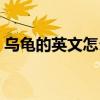 乌龟的英文怎么读选项（乌龟的英文怎么读）