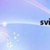 svipshipin永久发布页