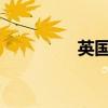 英国千余人因骚乱被逮捕