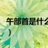 午部首是什么偏旁结构（午的部首是什么偏旁）