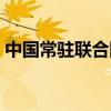 中国常驻联合国大使王源（中国常驻联合国）