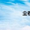 尘卷风的英文（尘卷风）