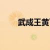 武成王黄飞虎老婆（武成王黄飞虎）