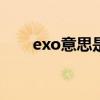 exo意思是什么（exodus什么意思）