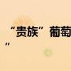 “贵族”葡萄阳光玫瑰刚上市价格就“大跳水”