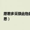 愿君多采撷此物最相思描写哪种植物（愿君多采撷此物最相思）