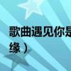 歌曲遇见你是我的缘简谱（歌曲遇见你是我的缘）