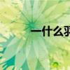 一什么羽毛三年级（一什么羽毛）