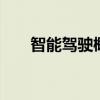 智能驾驶概念震荡走高 华锋股份涨停