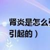 肾炎是怎么引起的 原因有哪些（肾炎是怎么引起的）