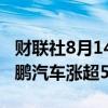 财联社8月14日电，热门中概股多数上涨，小鹏汽车涨超5%。
