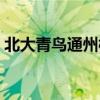 北大青鸟通州校区宋庄（北大青鸟通州校区）