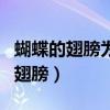 蝴蝶的翅膀为什么在阳光下闪闪发光（蝴蝶的翅膀）
