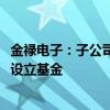 金禄电子：子公司拟出资2000万元与专业投资机构共同投资设立基金