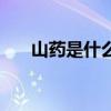 山药是什么时候种植的（山药是什么）