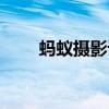 蚂蚁摄影课程值得买吗（蚂蚁摄影）