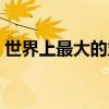 世界上最大的盆地在哪（世界上最大的盆地）