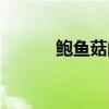 鲍鱼菇的功效与作用（鲍鱼菇）