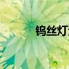 钨丝灯泡能用多久（钨丝灯泡）