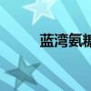 蓝湾氨糖多少钱一瓶（蓝湾氨糖）