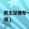 男主深情专一的小说推荐（男主深情专一的小说）
