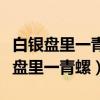 白银盘里一青螺这句诗中的青螺指的是（白银盘里一青螺）