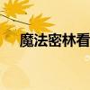 魔法密林看不到的npc（魔法密林在哪）