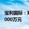 宝利国际：对全资子公司宁波宝利乐泰增资4000万元