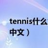 tennis什么意思中文翻译（tennis什么意思中文）