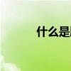 什么是脚本文案（什么是脚本）