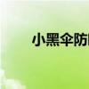 小黑伞防晒霜多少钱一瓶（小黑伞）