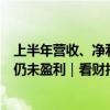 上半年营收、净利再缩水，“火腿大王”双汇发展第二曲线仍未盈利｜看财报