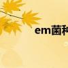 em菌种哪个牌子好（em菌种）