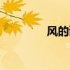 风的谜语诗歌（风的谜语）