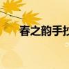 春之韵手抄报四年级（春之韵手抄报）