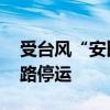 受台风“安比”影响 日本多个航班及列车线路停运