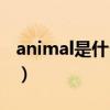 animal是什么意思中文（animal是什么意思）