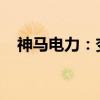 神马电力：变更会计师事务所为安永华明