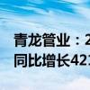 青龙管业：2024年半年度净利润7178.32元 同比增长421.33%