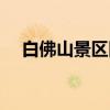 白佛山景区因经营权引发纠纷（白佛山）