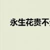 永生花贵不贵（永生花一般多少钱一只）