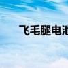 飞毛腿电池需要激活吗（飞毛腿电池）