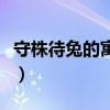 守株待兔的寓意是什么意思（守株待兔的寓意）