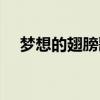 梦想的翅膀歌词汪峰（梦想的翅膀歌词）