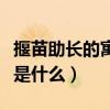 揠苗助长的寓意是什么意思（揠苗助长的寓意是什么）