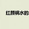 红颜祸水的水是什么意思（水红颜金水）