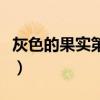 灰色的果实第二季叫什么（灰色的果实第二季）