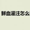 鲜血灌注怎么咬人（鲜血灌注一个人怎么做）