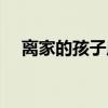 离家的孩子原唱歌手（离家的孩子原唱）
